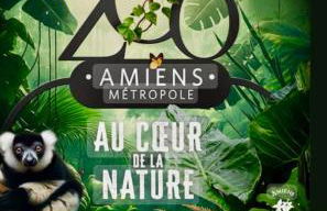 Le Rooftop Amiénois - Foto 21