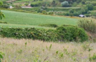 Luxury Farmhouse with Swimming Pool, By TimeCooler - Photo 78