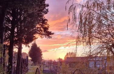 Ecurie Le Pas du Loup - Foto 3