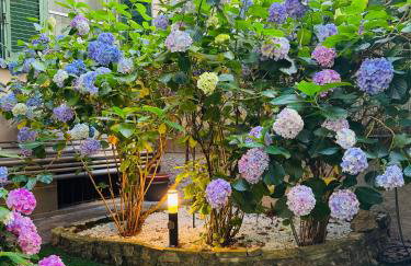 Lucy's Flowers - Foto 80