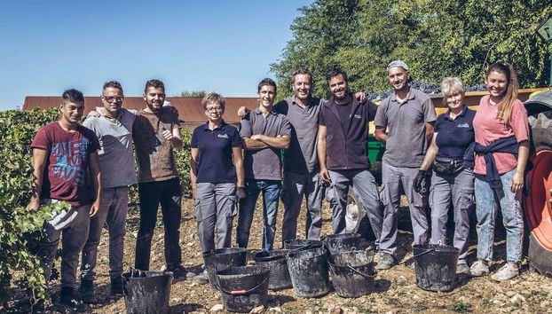 Equipe responsável pela colheita na adega