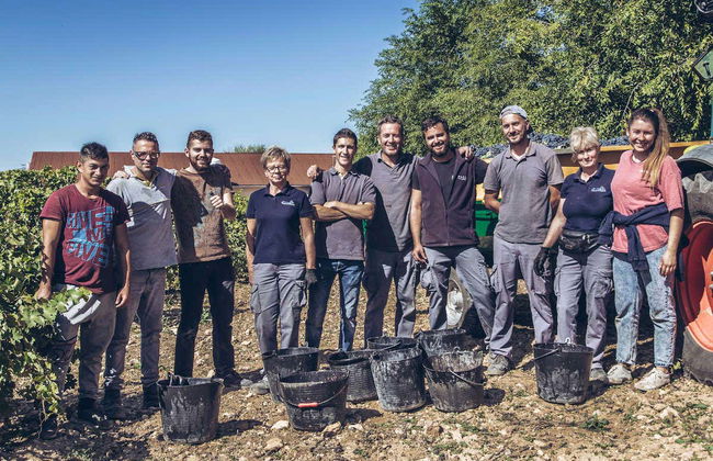 Visita à adega Pago de Tharsys - Photo 3