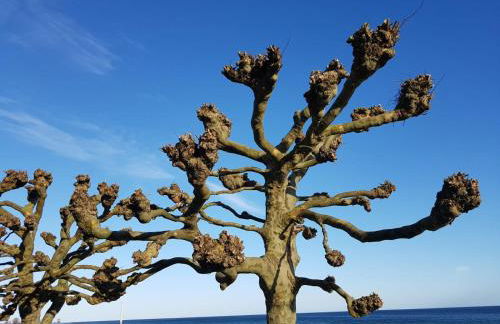 Ferienwohnung "Luv" Grube Ostsee - Foto 32