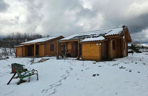 Timber Dream - Photo 36