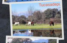 Tu Casa de Pueblo - Photo 8