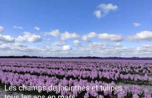 APPART-DUPLEX VUE MER PANORAMIQUE BALCON & PISCINE proche commerce - Photo 25