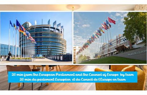 Cosy apartment on Strasbourg tramway line - Foto 12