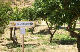 Agriturismo Villa Orchidea - Foto 31