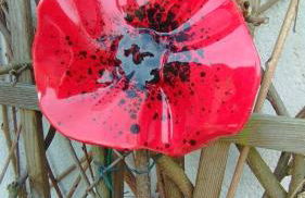 Studio Les coquelicots - Foto 15