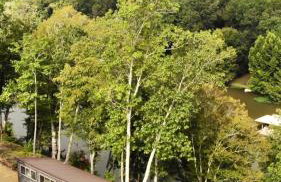 The Gemini-a dreamy, waterfront tiny cabin - Foto 50