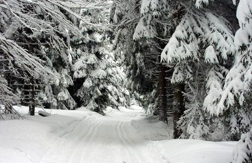 Ferienwohnung Erzhütte - Foto 18