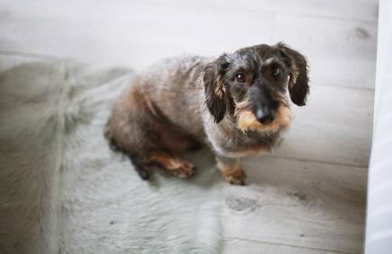 Quartier 23 - Foto 11