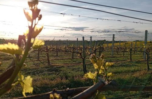 Domki w Winnicy - Świętokrzyska Winnica Knapów - Foto 28