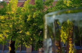 Ferienwohnung Just City - Photo 11