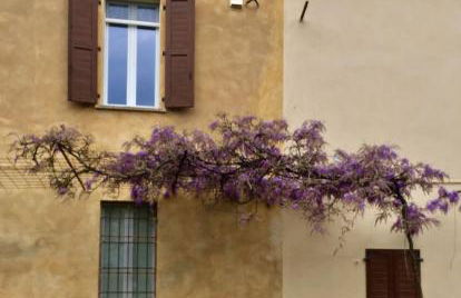 Appartamento in Cascina Cortazza - Foto 23