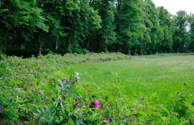 Flat in Zwickau Near August Horch Museum - Foto 31