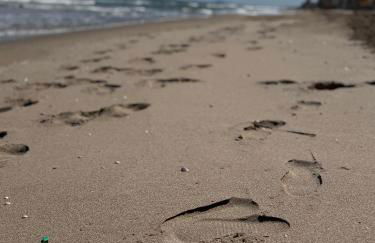 Brisa de mar - Foto 27