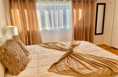 New Charming Spacious Disneyland Pool Home - Photo 19