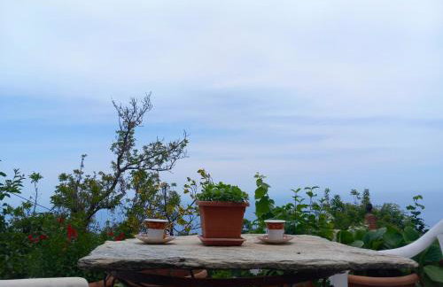 Katafigio Home in Tsagkarada Village - Foto 43