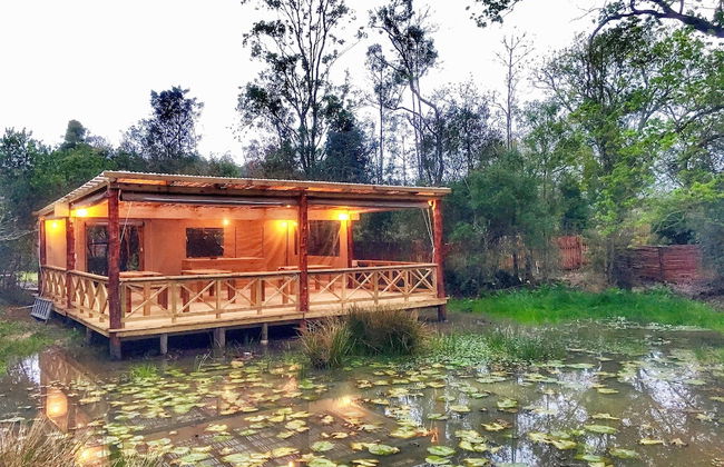 Forest Edge - Foto 70