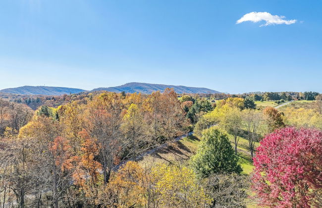 Mariposa Moon Cottage at Sleepy Creek - Foto 48