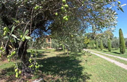 Agriturismo Gardenali - Foto 53