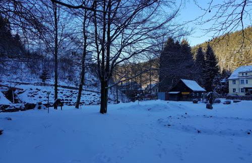 Spacious Apartment in Upper Harz near River - Foto 74