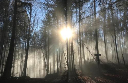 Apartment PfalzGlück - Foto 14