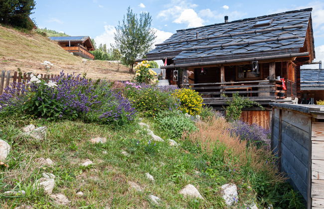 1 bedroom House in Nendaz with garden and terrace - Photo 32