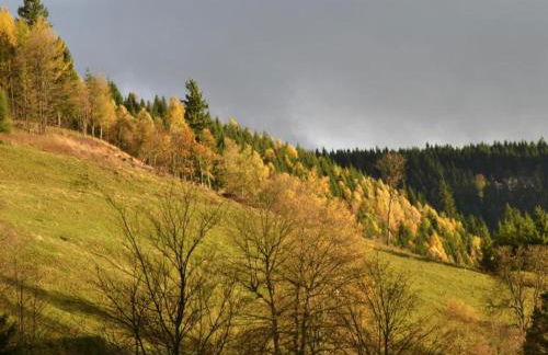 Ferienwohnung in Wildemann - Foto 27