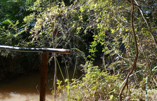 Cabaña del humedal - Foto 58