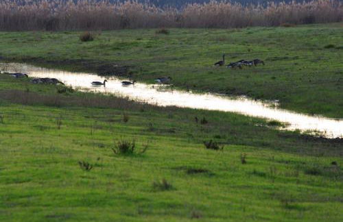 Bio Agriturismo Le Giunchiglie - Foto 23