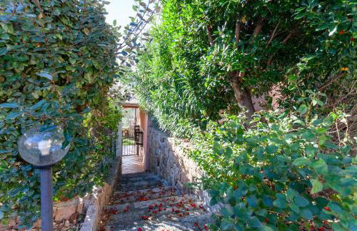 Casa Teodoro - Foto 50