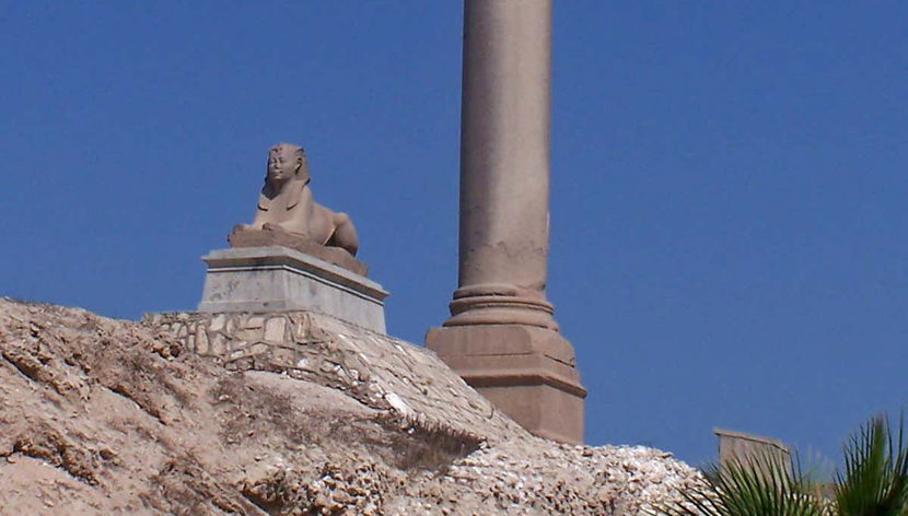 Le sphinx près de la Colonne de Pompée