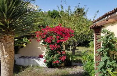 La Casita de la Vega - Foto 50