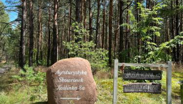 Agroturystyka Dom Skowronek - Foto 4