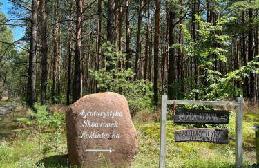 Agroturystyka Dom Skowronek - Foto 4