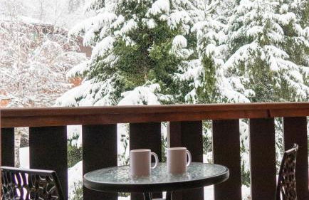 Au centre du village station de ski - Photo 1