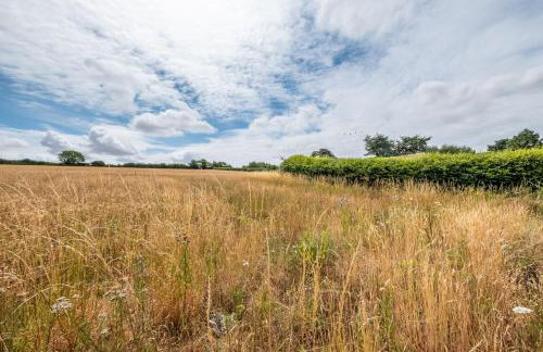 Field View - Foto 42