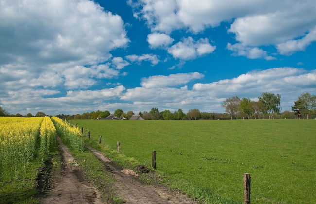 Cozy Countryside Escape in Dalfsen - Photo 30