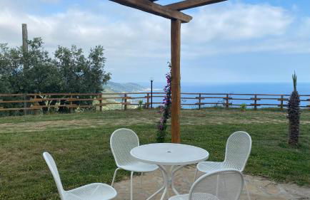 Tenuta Belvedere Cilento - Foto 11