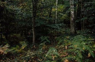 Casa Slow avec sa piscine chauffée au bord du lac - Foto 61