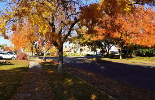 Modern Merced Haven near Merced College and UC Merced - Foto 19