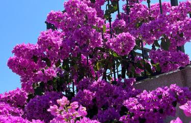 Stone House Luna - Foto 68