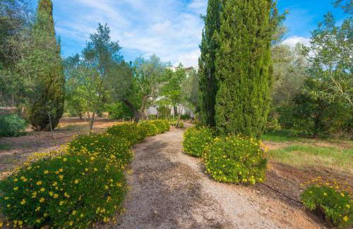 Cas Pilot in Santa Maria del Cam - Foto 98