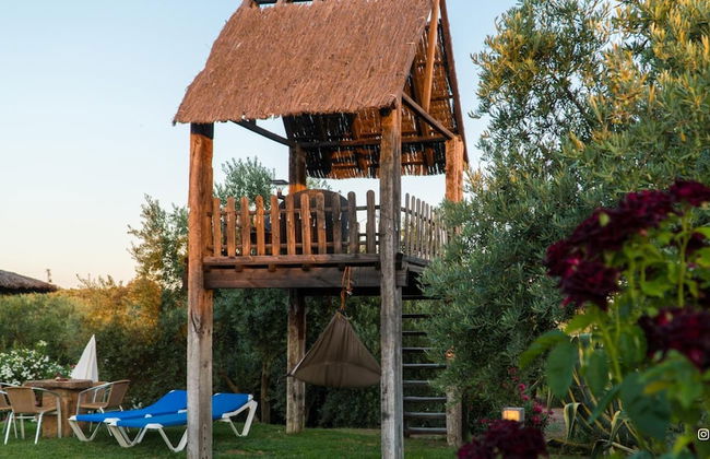 Molino la Nava - Foto 49