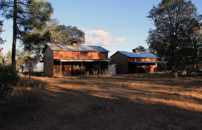 Escursione di 2 giorni al bosco di Yécora - Foto 5