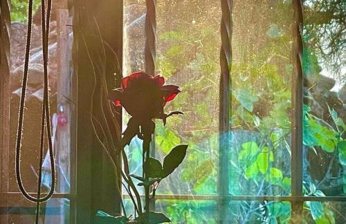 El Pinar del Rondero J&M En Plena Naturaleza - Photo 34