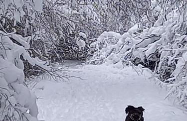 Ferienwohnung Kessler's Eifeldomizil - Foto 54