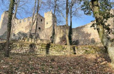 Beck Domaine du Rempart - Foto 37